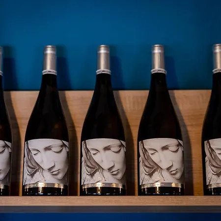 хотел панорама