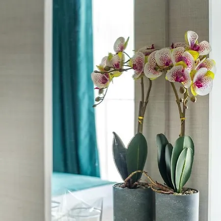 Отель хотел панорама 2*