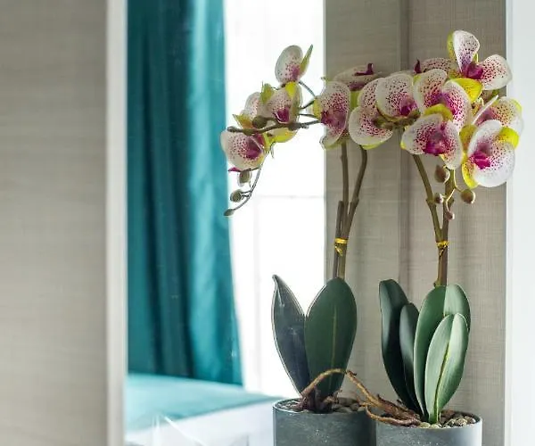 Отель хотел панорама 2*